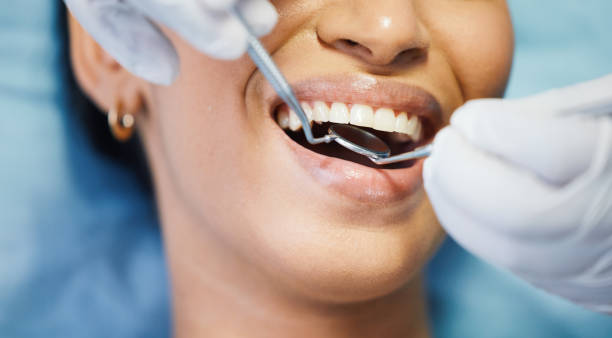 Best Emergency Dental Services for Seniors in Harrison, TN